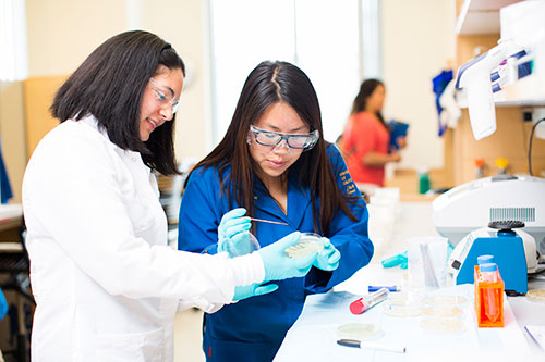 Professor Clarissa Nobile, left, researches biofilms, which can cause illnesses.